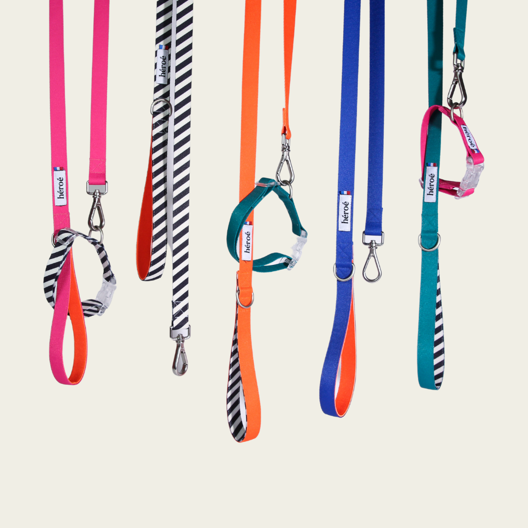 Laisse Stripy